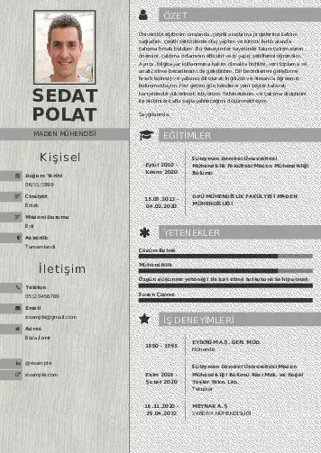 Maden Mühendisi Cv Örnekleri cv indir